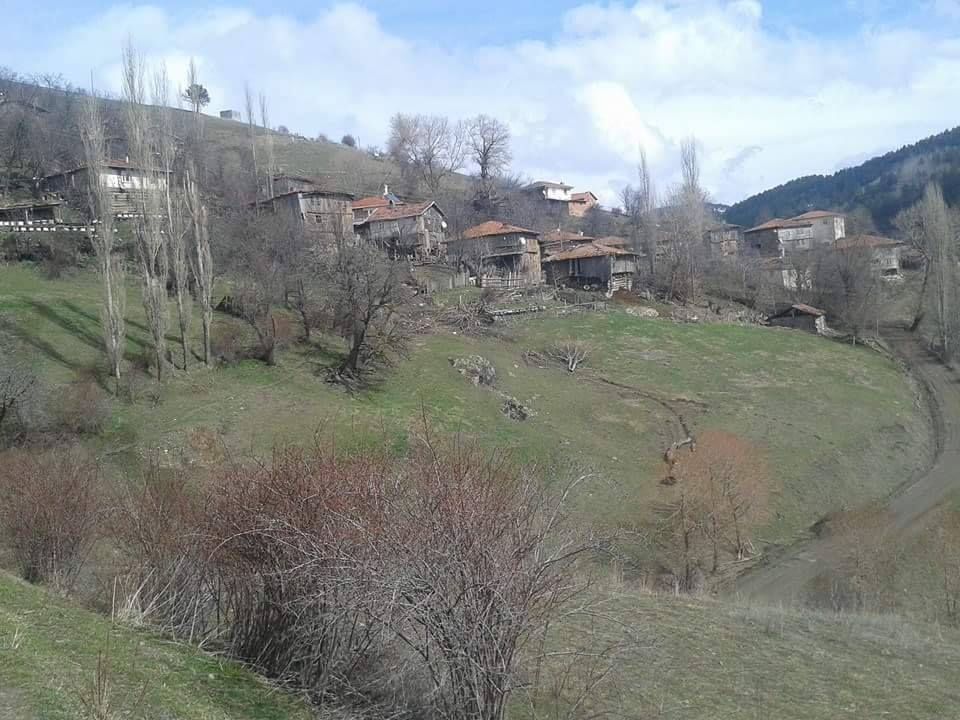 İhsangazi Kayapınar Köyü Resimleri 9
