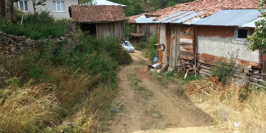 İhsangazi Kayapınar Köyü Resimleri