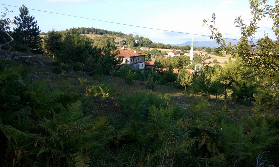 İhsangazi Koçcuğaz Köyü Resimleri 7