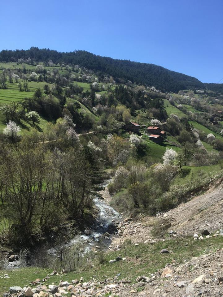 İhsangazi Sarıpınar Köyü Resimleri 1