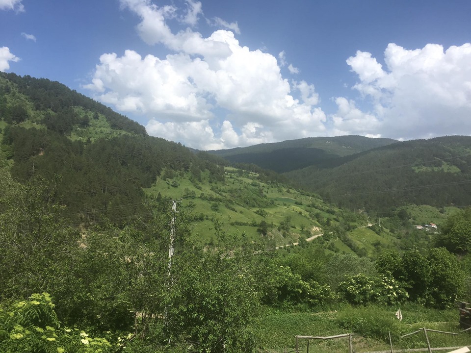 İhsangazi Sarıpınar Köyü Resimleri 11