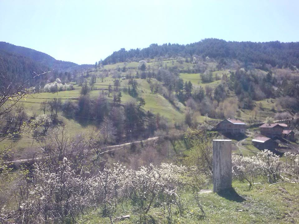 İhsangazi Sarıpınar Köyü Resimleri 2