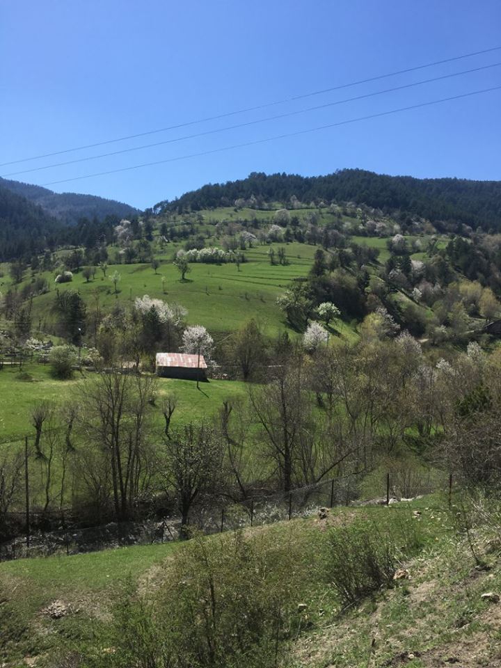 İhsangazi Sarıpınar Köyü Resimleri 3