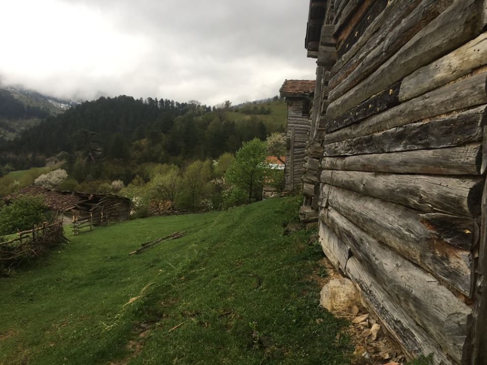 İhsangazi Sarıpınar Köyü Resimleri 4