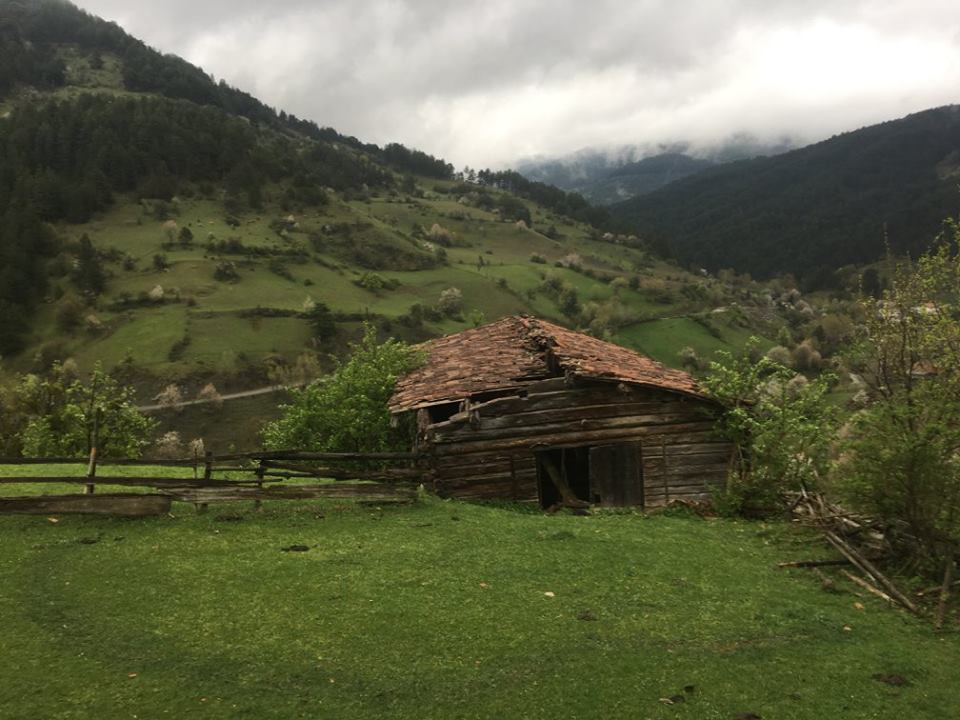 İhsangazi Sarıpınar Köyü Resimleri 5