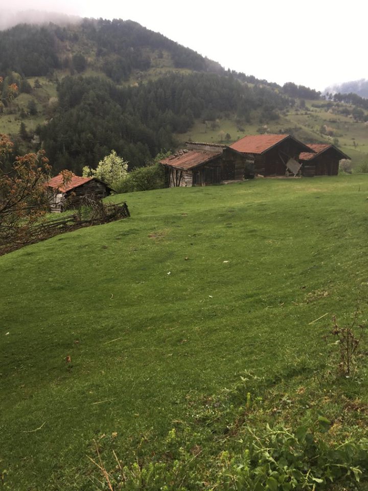 İhsangazi Sarıpınar Köyü Resimleri 7
