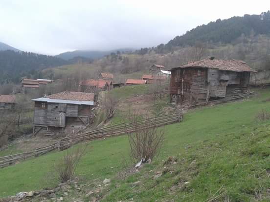 İhsangazi Sarıpınar Köyü Resimleri 8