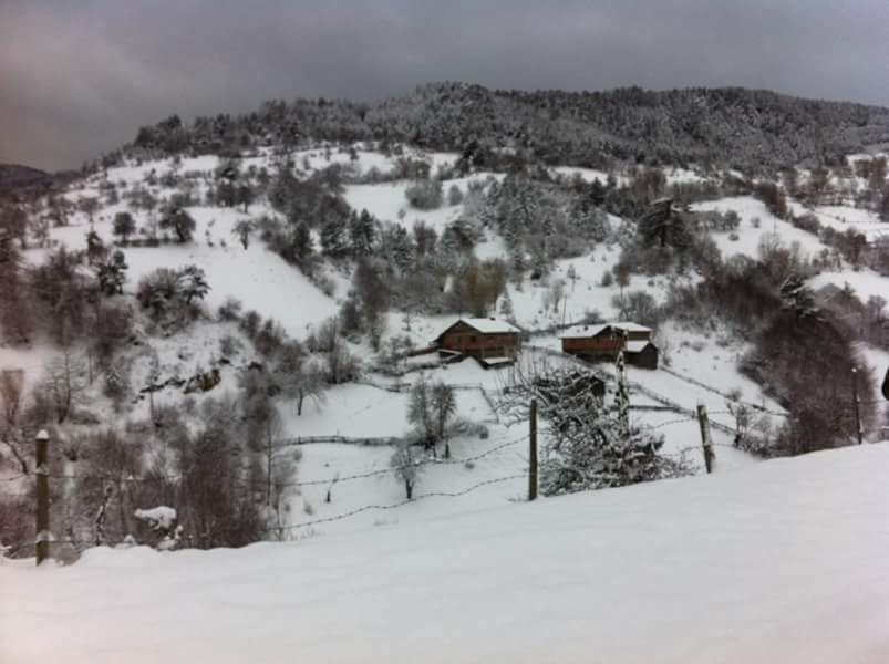 İhsangazi Sarıpınar Köyü Resimleri 9