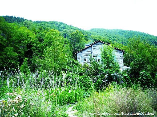 İnebolu Akçay Köyü Resimleri 11