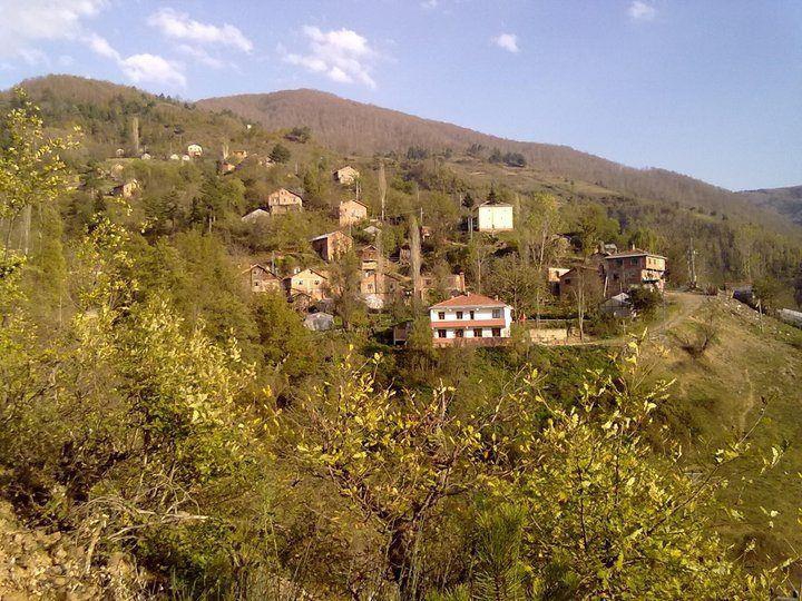 İnebolu Akgüney Köyü Resimleri 1