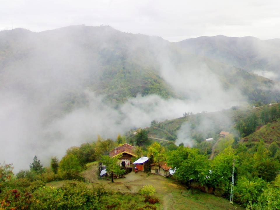 İnebolu Akgüney Köyü Resimleri 7
