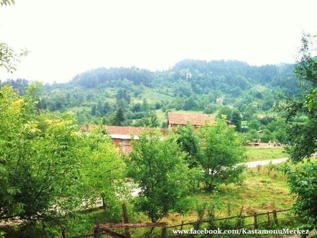 İnebolu Aktaş Köyü Resimleri 1