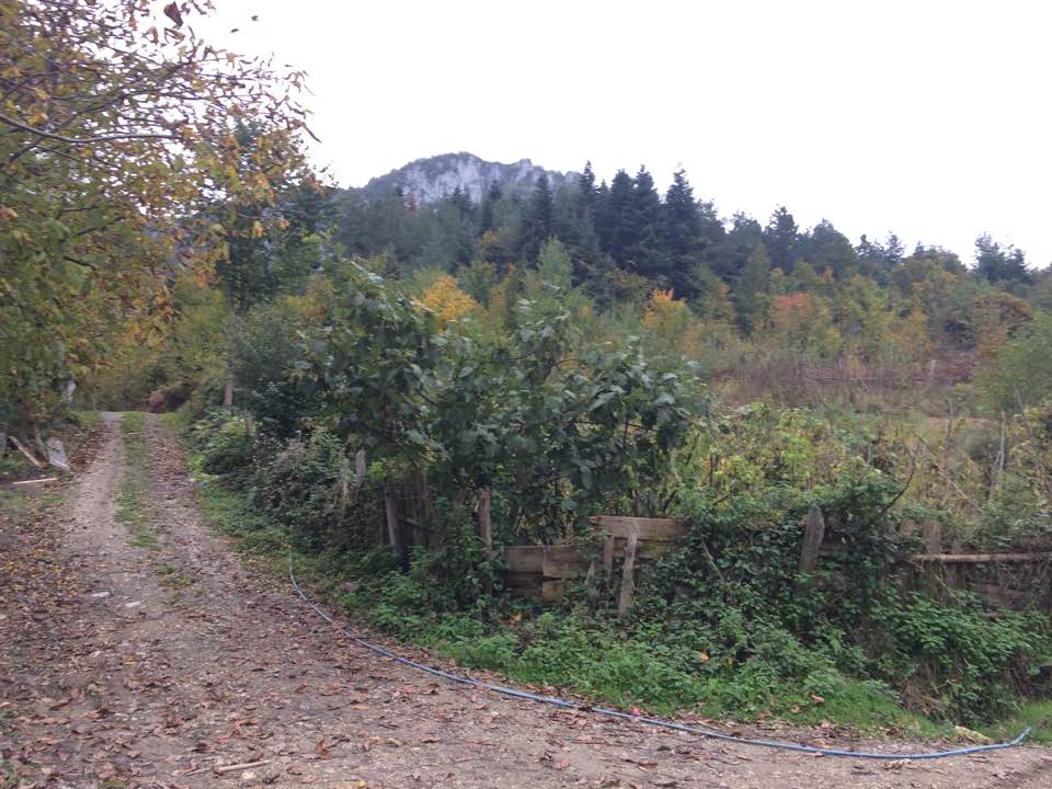 İnebolu Alaca Köyü Resimleri 5