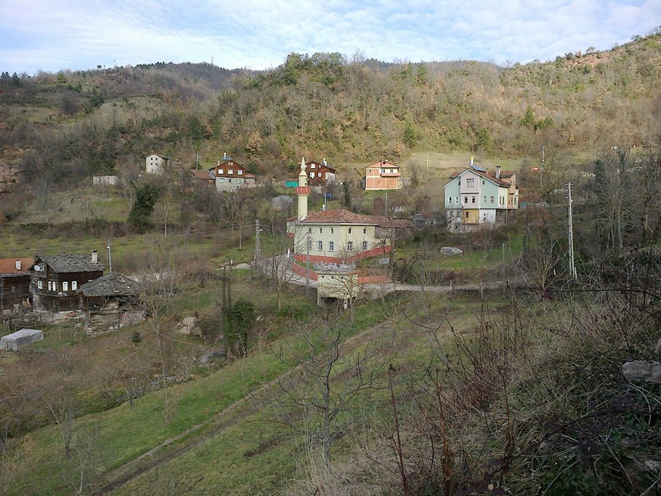 İnebolu Ayva Köyü Resimleri 1