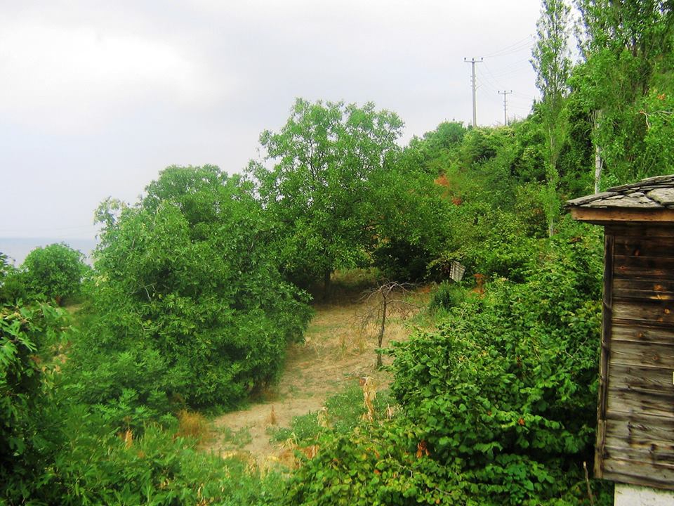 İnebolu Ayva Köyü Resimleri 10