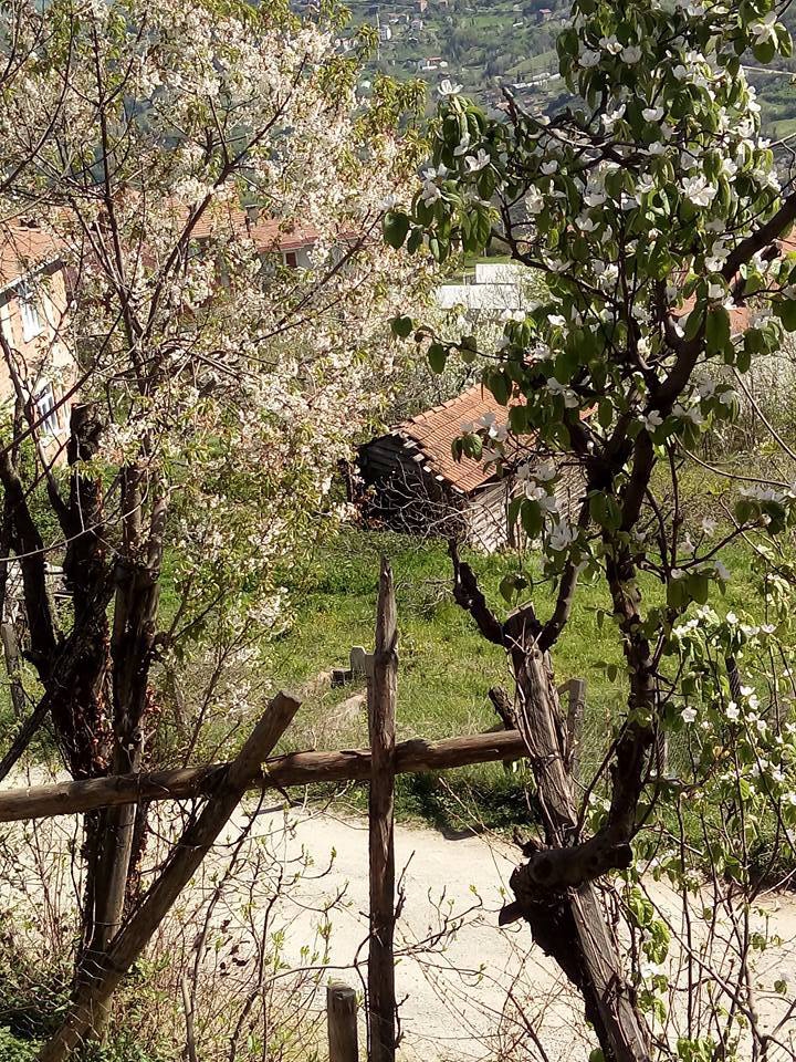 İnebolu Ayva Köyü Resimleri 11