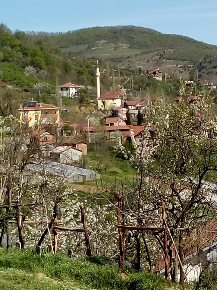 İnebolu Ayva Köyü Resimleri 3