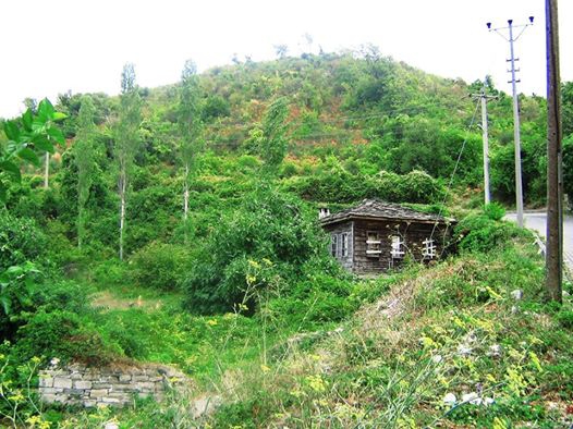 İnebolu Ayva Köyü Resimleri 6