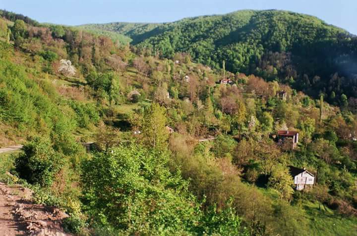 İnebolu Bayıralan Köyü Resimleri 1