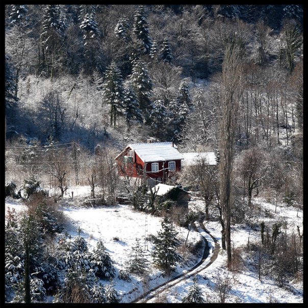 İnebolu Bayıralan Köyü Resimleri 8