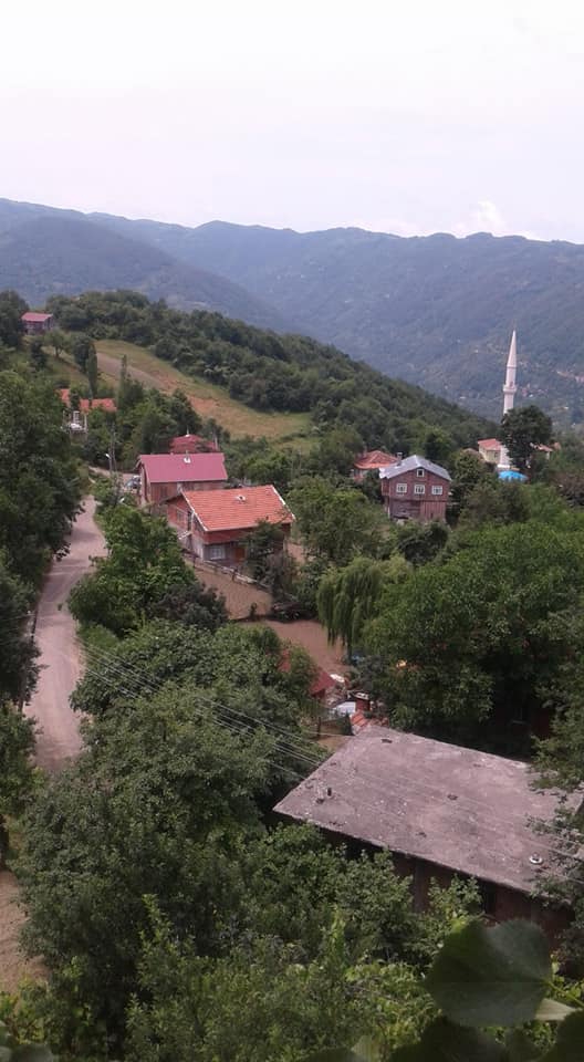 İnebolu Belence Köyü Resimleri 1