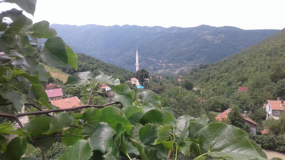 İnebolu Belence Köyü Resimleri 10