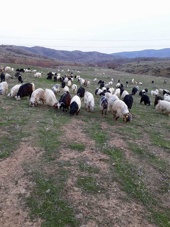 Alacakaya Kayranlı Köyü 2