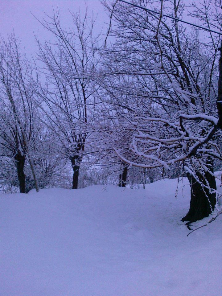 Alacakaya Kayranlı Köyü 3