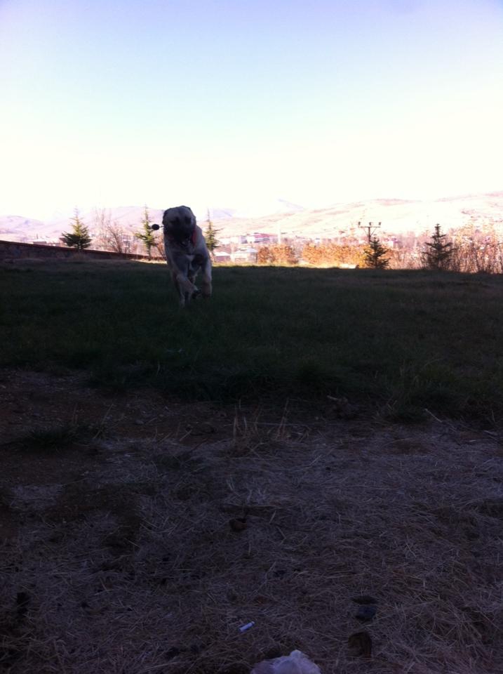 Afşin Kangal Köyü Resimleri 3