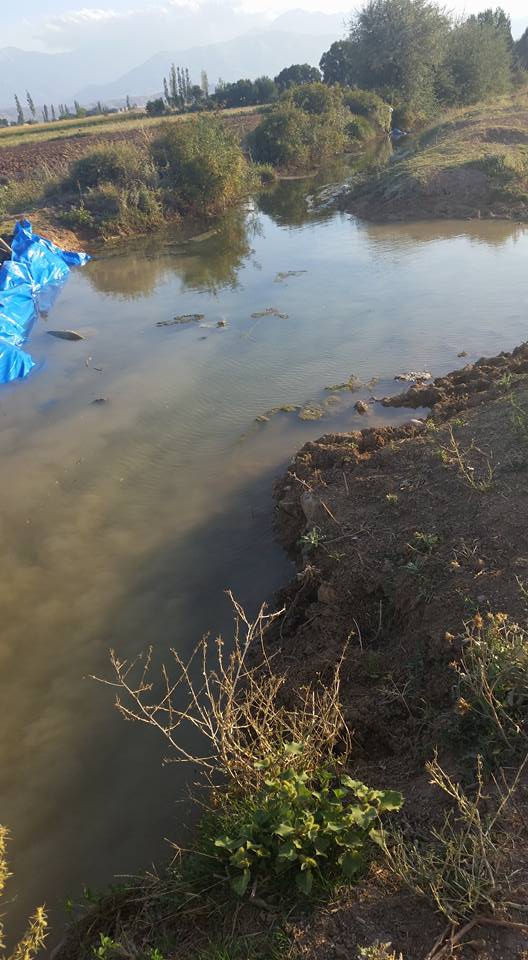 Afşin Kargabükü Köyü Resimleri 7