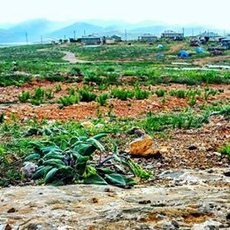 Afşin Kaşanlı  Köyü Resimleri 2