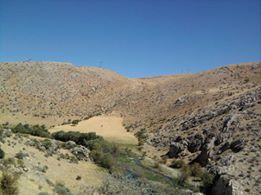 Afşin Koçovası Köyü Resimleri 11