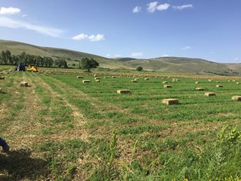 Afşin Koçovası Köyü Resimleri 8