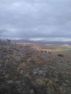 Afşin  Kuşkayası Köyü Resimleri 11