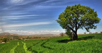 Afşin Nadır Köyü Resimleri 10