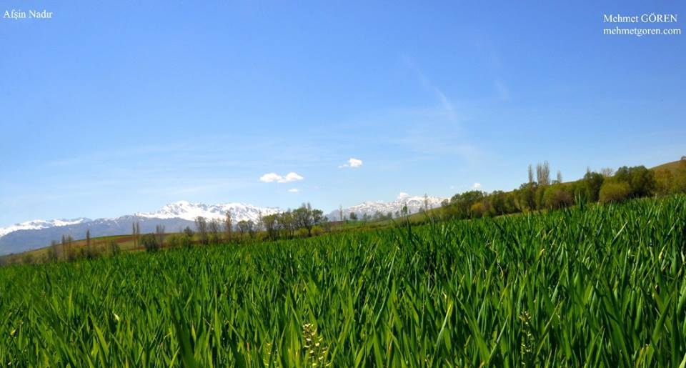 Afşin Nadır Köyü Resimleri 6