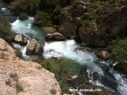 Afşin Oğlakkaya Köyü Resimleri 10