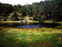 Afşin Ördek  Köyü Resimleri 11