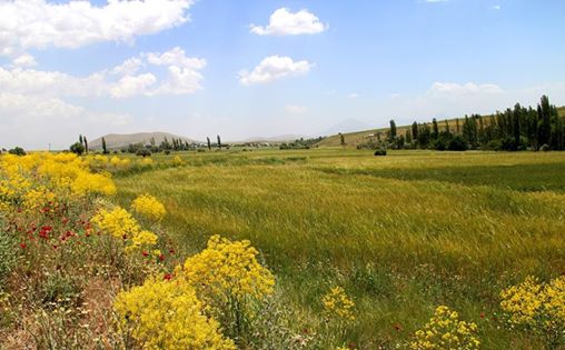 Afşin Ördek  Köyü Resimleri 6