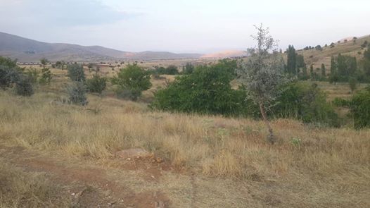 Afşin Örenderesi Köyü Resimleri 2