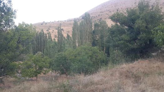 Afşin Örenderesi Köyü Resimleri 5