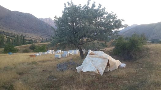 Afşin Örenderesi Köyü Resimleri 9