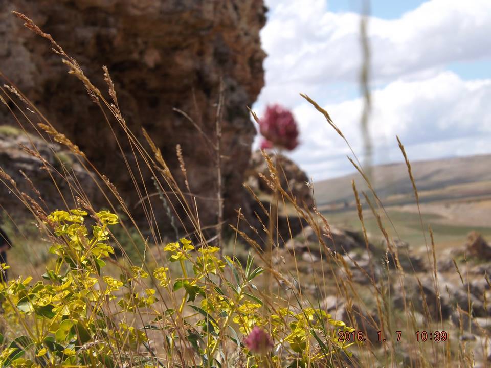 Afşin Örenli Köyü Resimleri 9