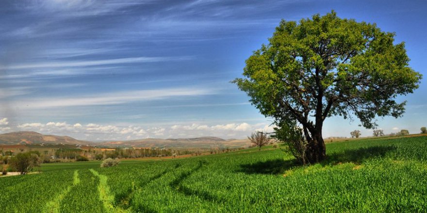 Afşin Soğucak Köyü Resimleri
