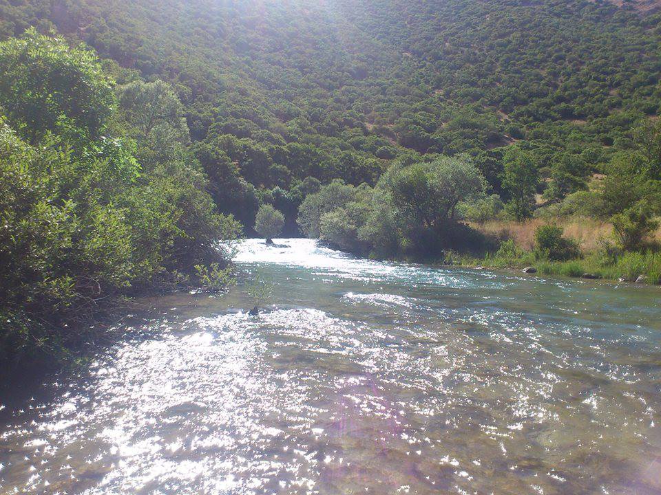 Afşin Söğütdere  Köyü Resimleri 11