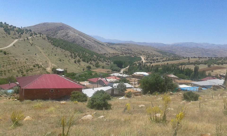 Afşin Söğütdere  Köyü Resimleri 3