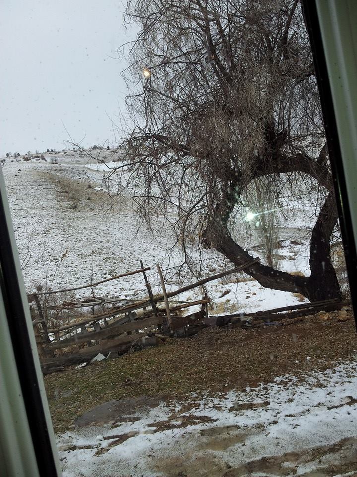 Afşin Söğütdere  Köyü Resimleri 7