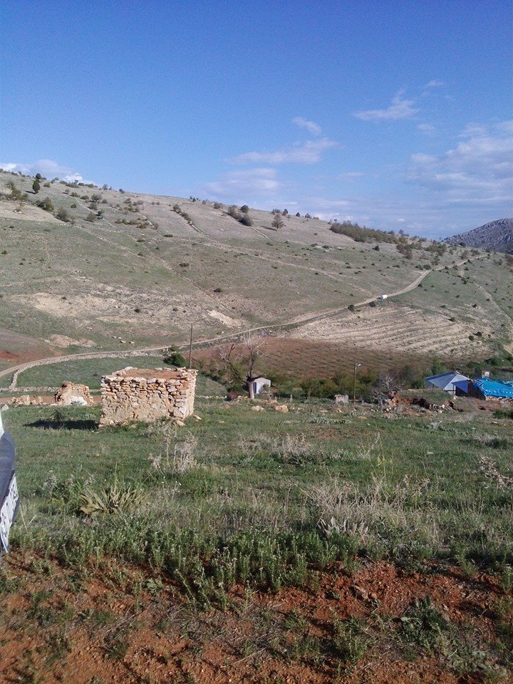 Afşin Söğütdere  Köyü Resimleri 9