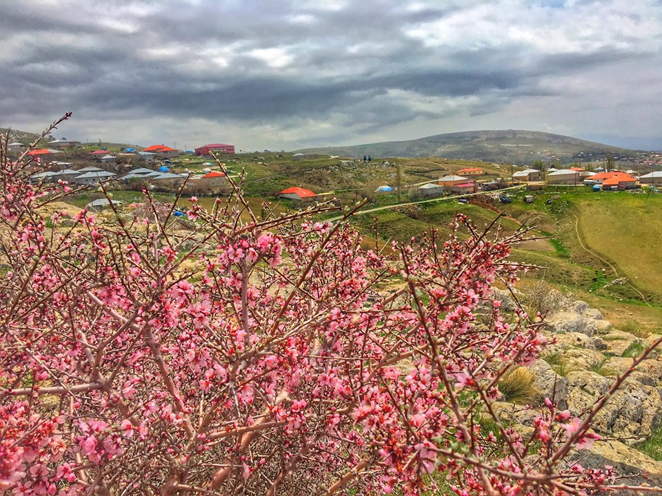 Afşin Tatlar Köyü Resimleri 1