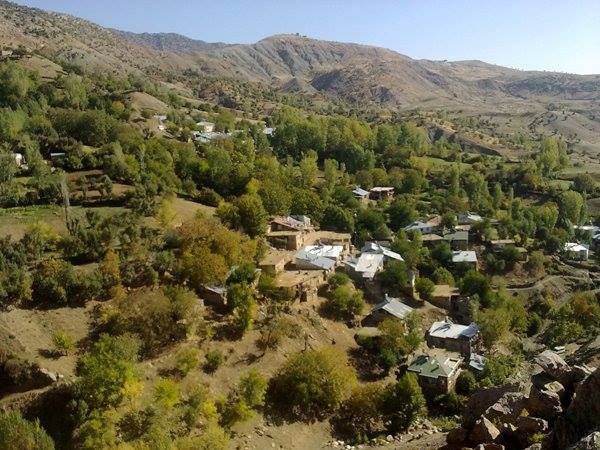 Arıca Bozçavuş Köyü 3